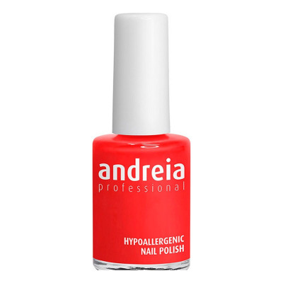 smalto Andreia Nº 109 (14 ml)