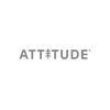 Attitude