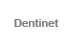 Dentinet